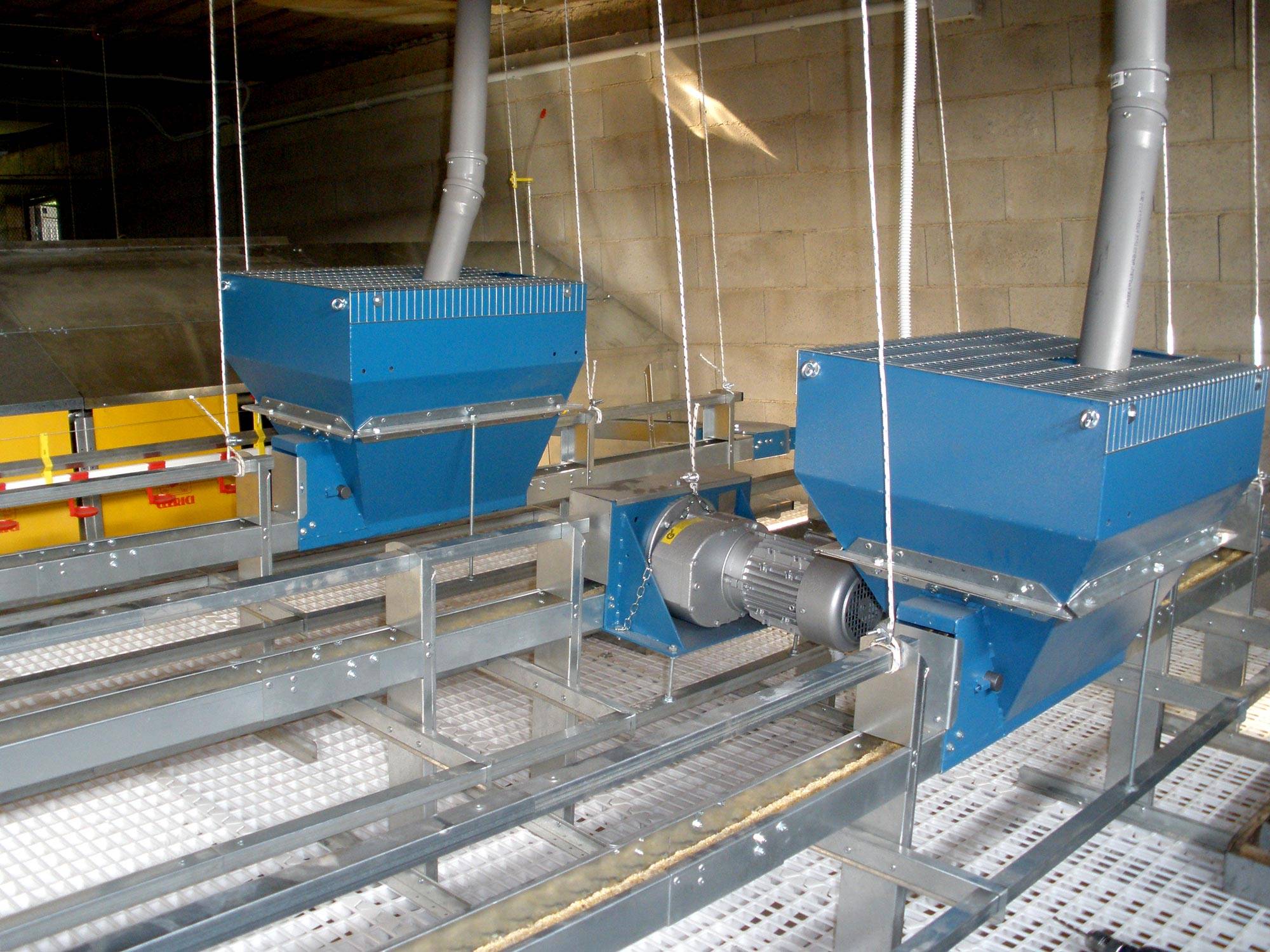 alimentazione-gigo-impianti-avicoli-clerici-gino-1