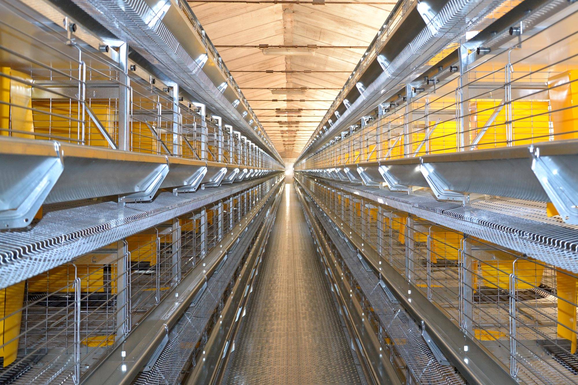 eu5-eu5-max-gabbia-allevamento-in-batteria-galline-ovaiole-clerici-2