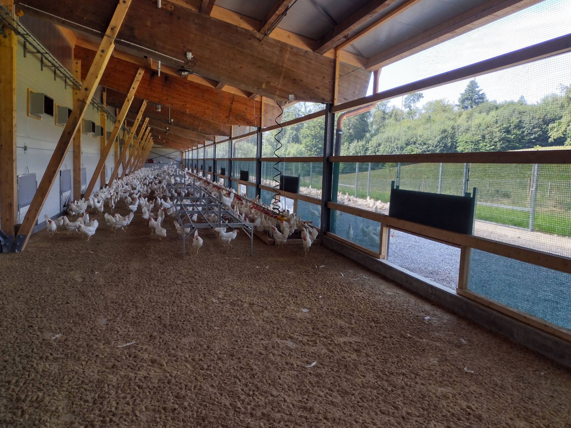 clerici-gino-impianti-avicoli-parchetto-nido-(7)