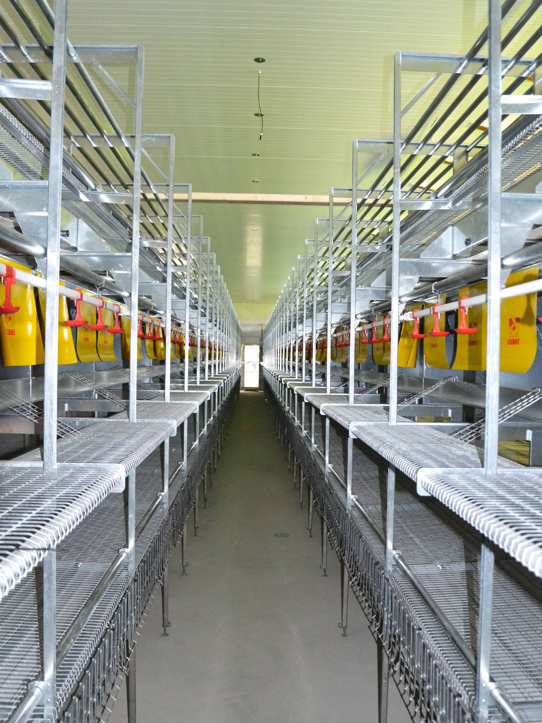 clerici-impianto-avicolo-canton-argovia-vl