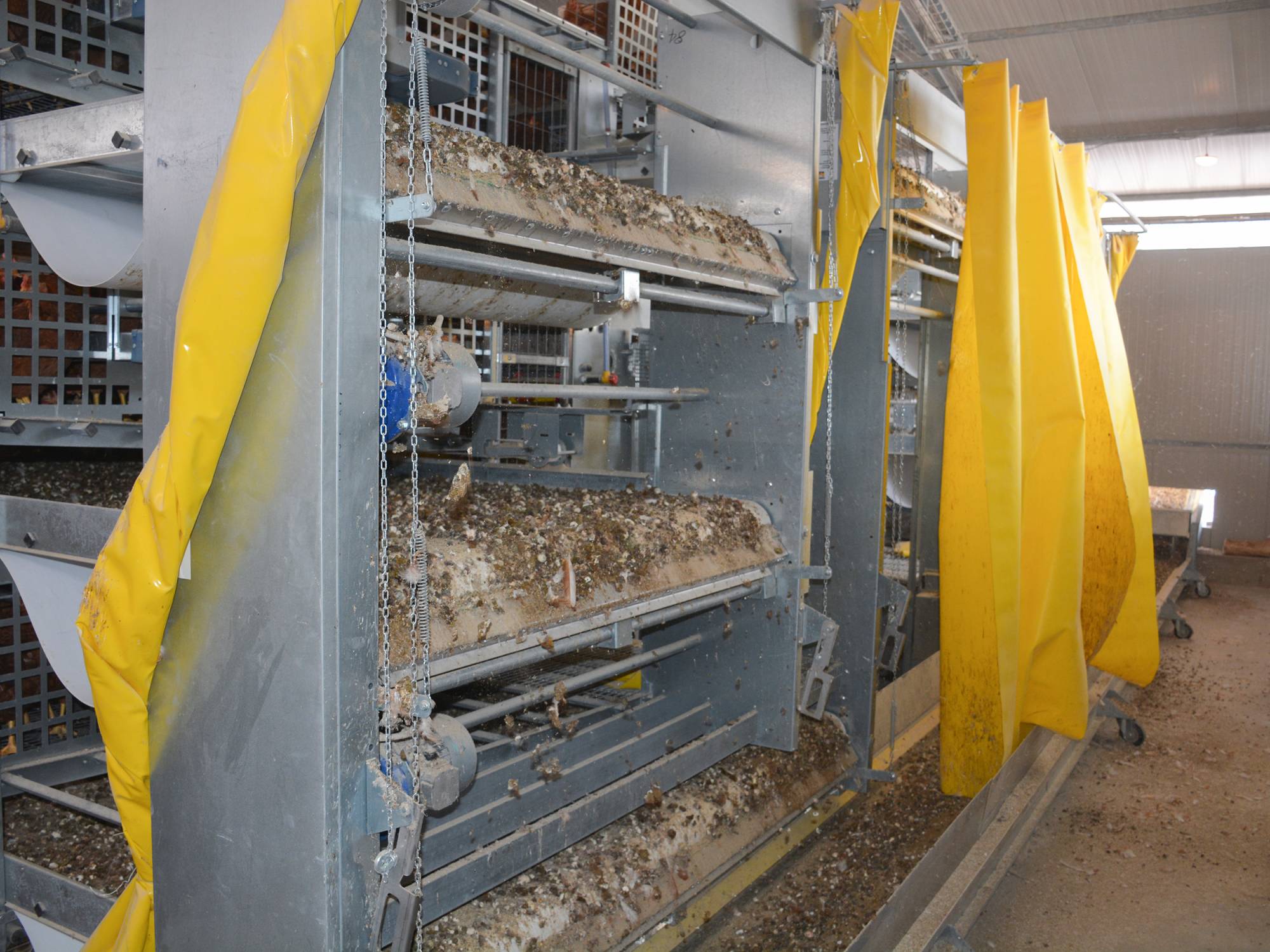 trasporto deiezioni (2)