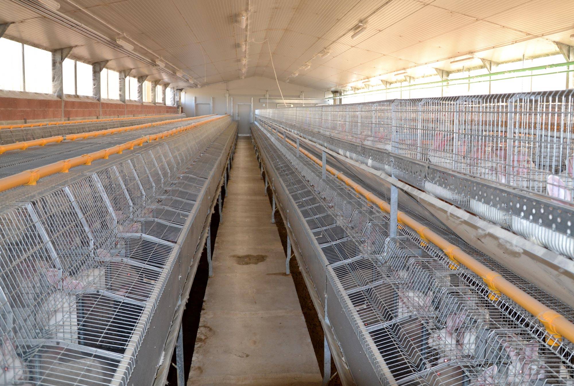 clerici-gino-impianti-cunicoli-natura-rimonta-3