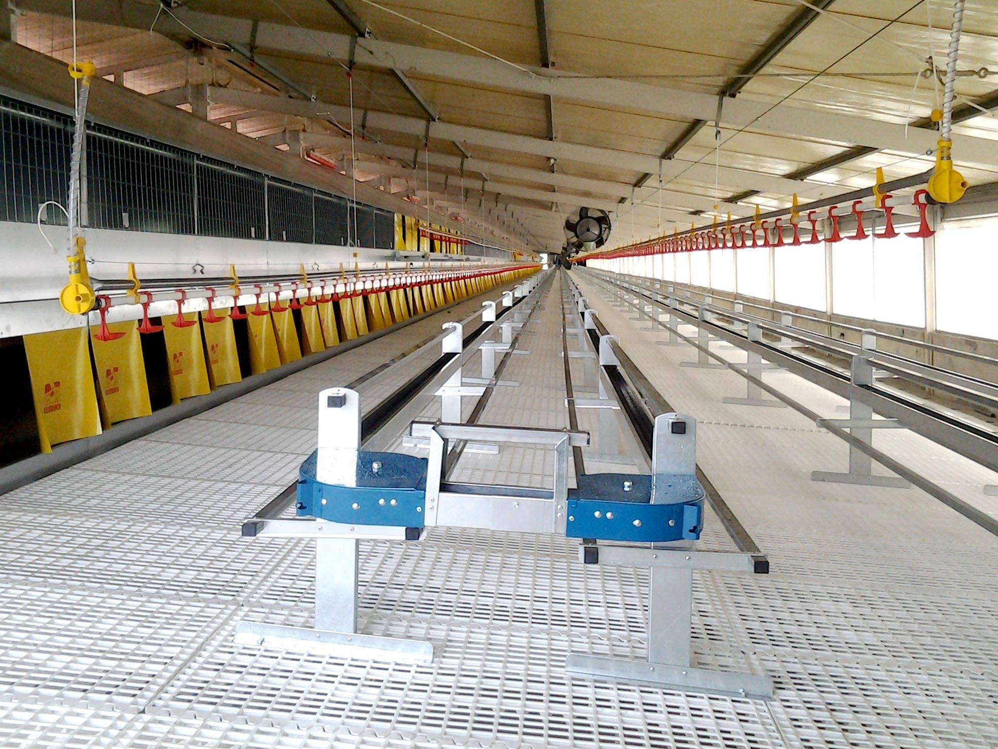 alimentazione-gigo-impianti-avicoli-clerici-gino-4