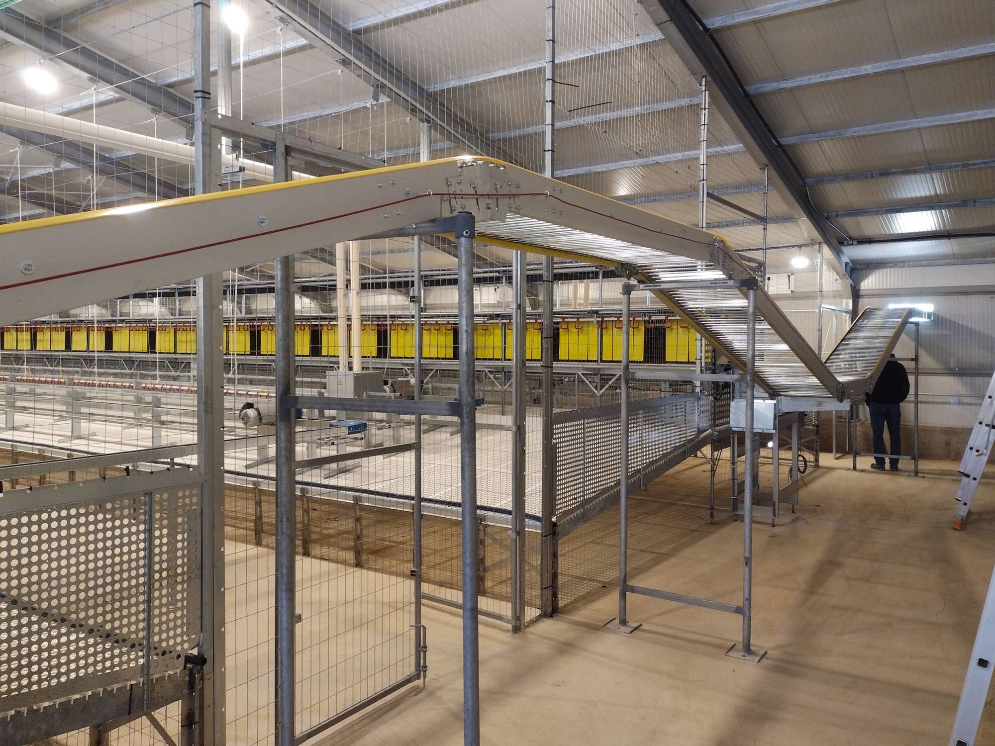 clerigi-gino-impianti-avicoli-viterbo-slalom