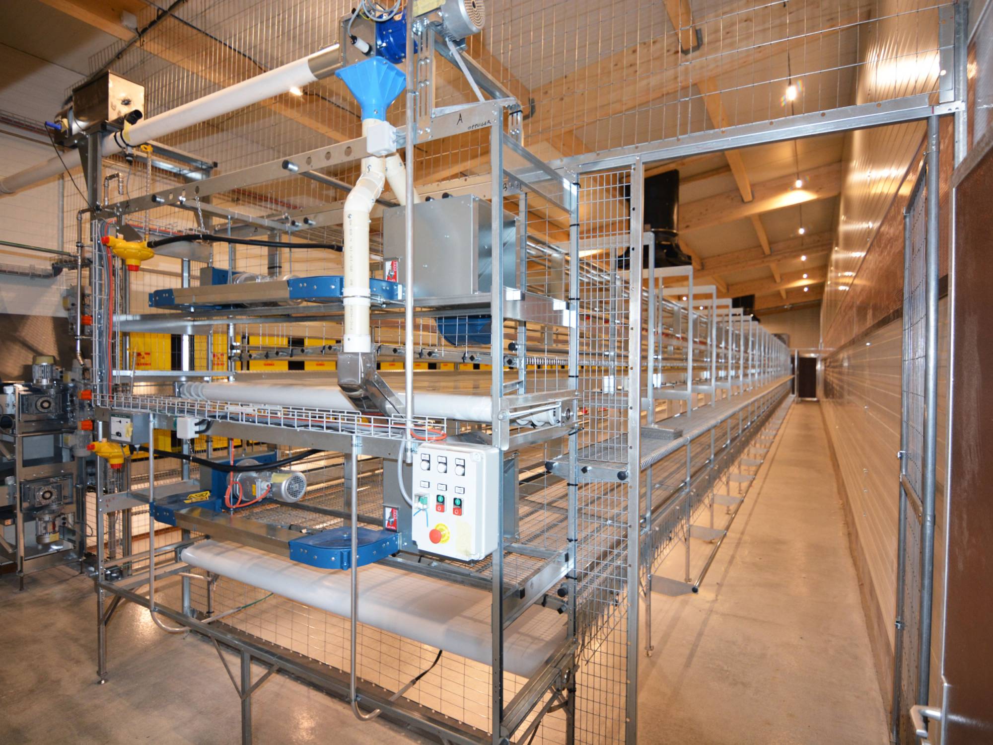 clerici-impianti-avicoli-galline-ovaiole-canton-berna-svizzera-alimentazione-(2)