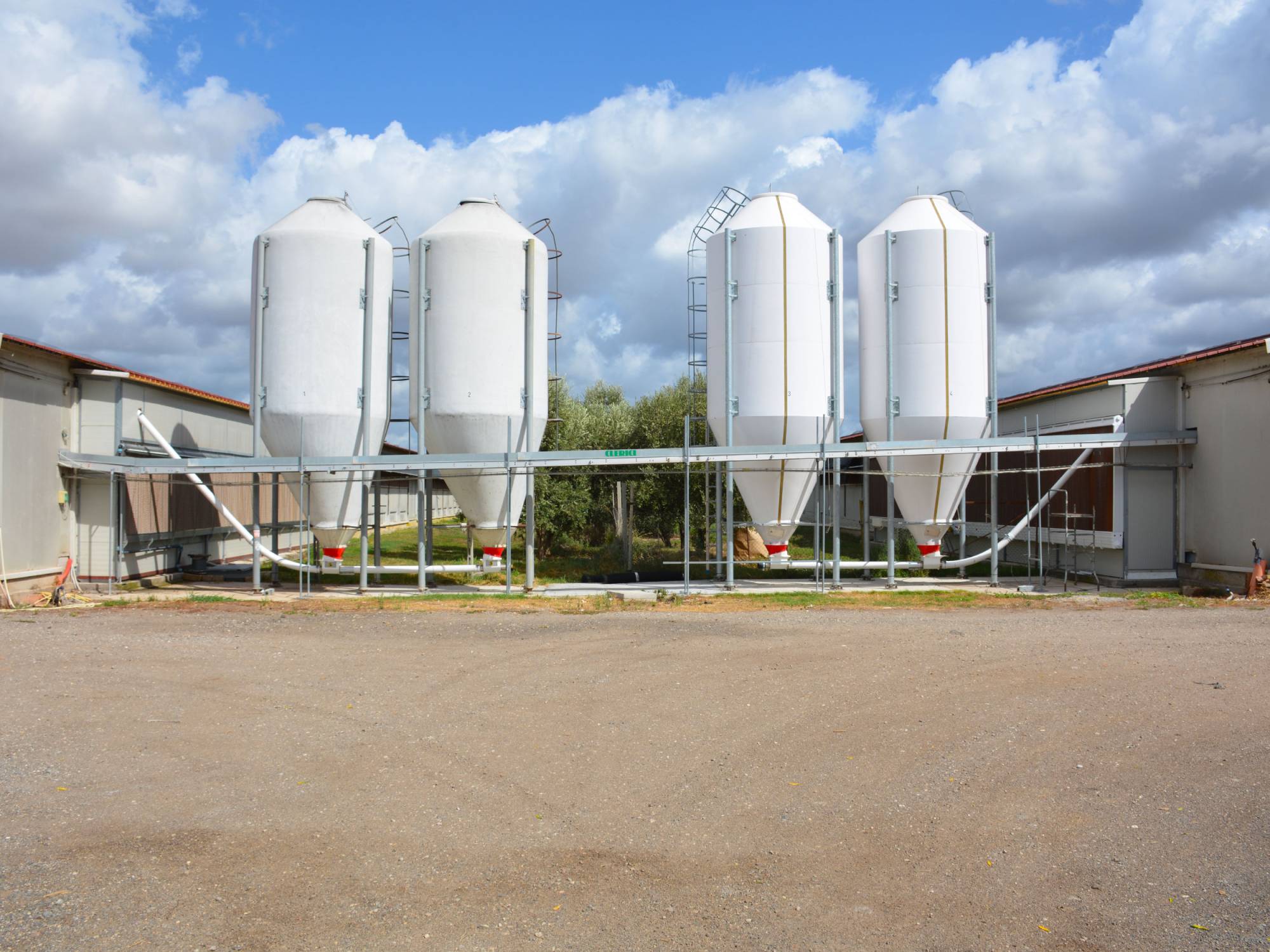 clerici-impianti-avicoli-viterbo-alimentazione-(2)