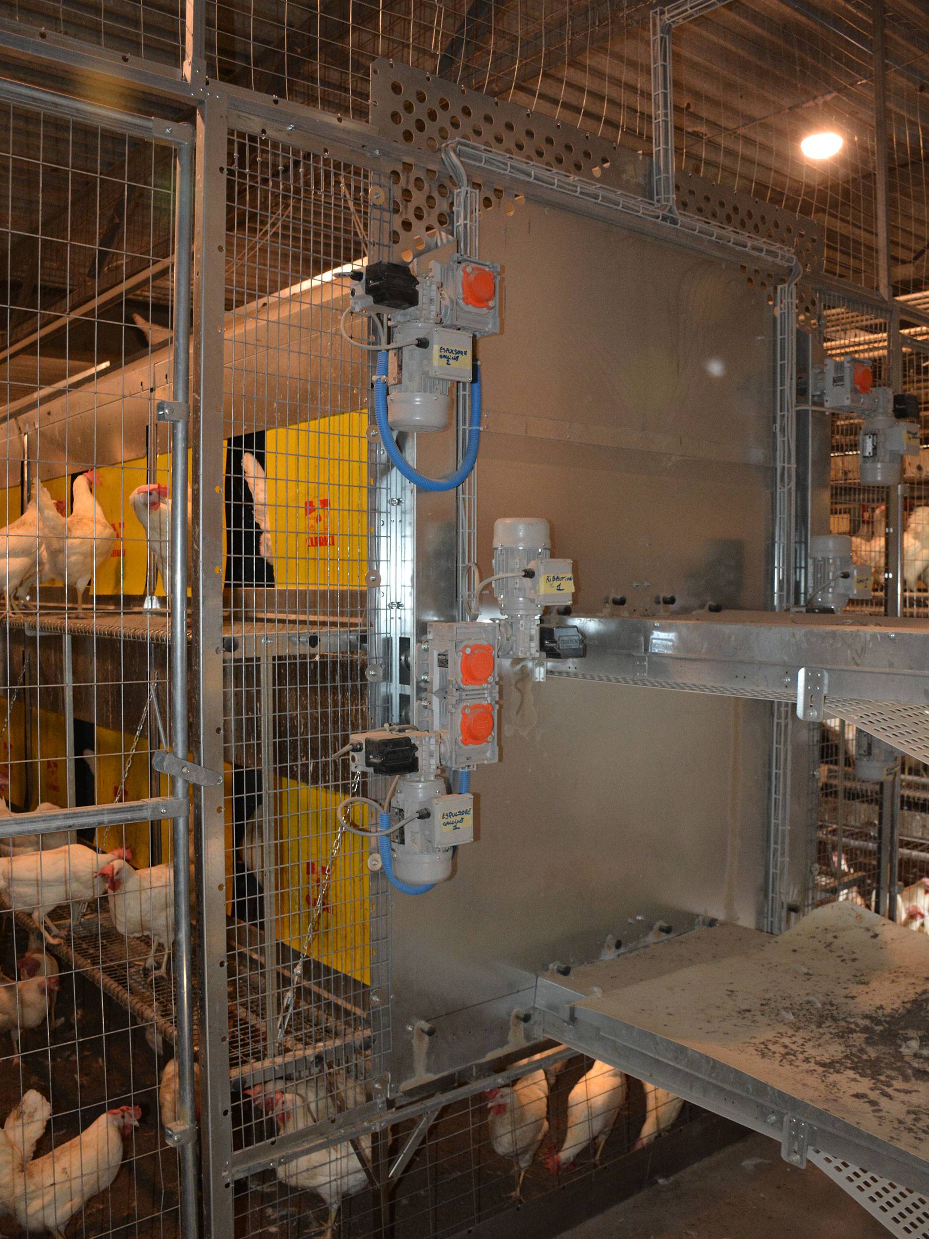 clerici-impianti-avicoli-canton-vaud-svizzera-parchetto-nido