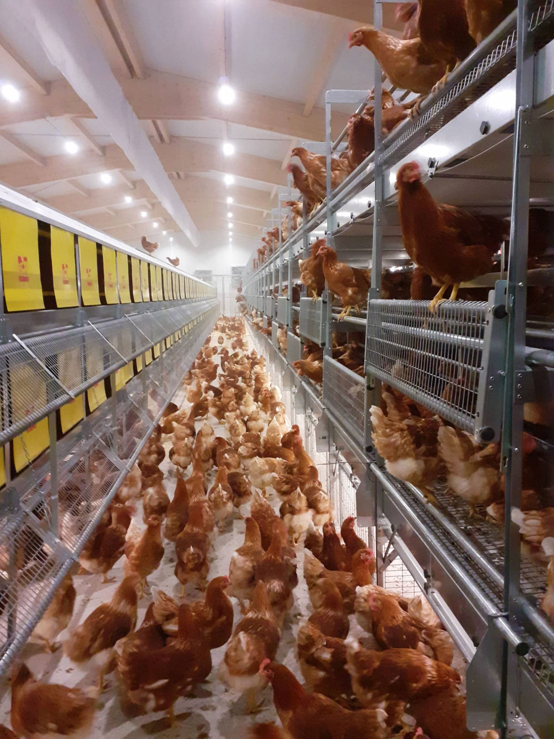 soluzione-parchetto-nido-2-piani-libaia-60-(5)