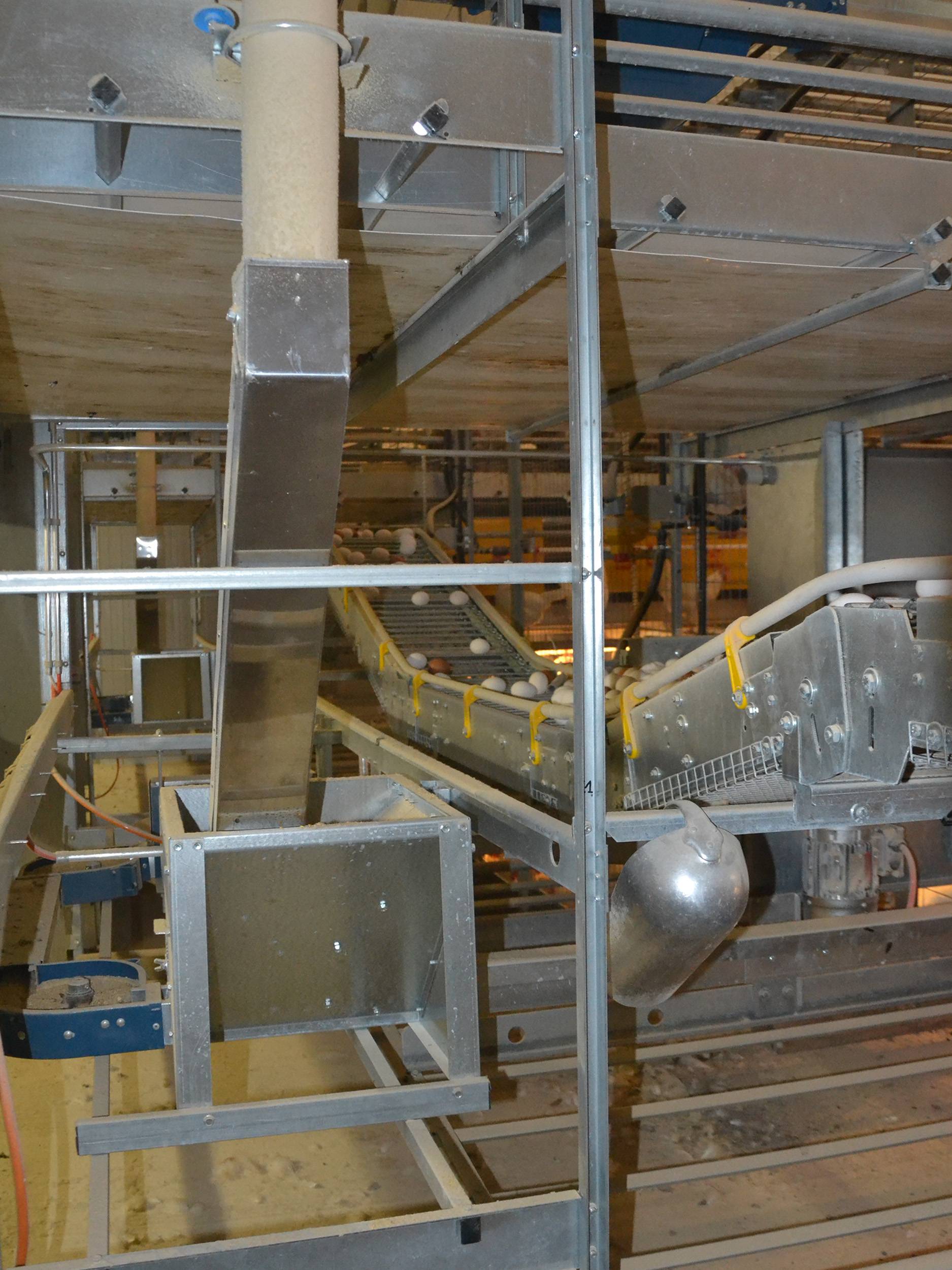 clerici-impianti-avicoli-canton-basilea-campagna-alimentazione