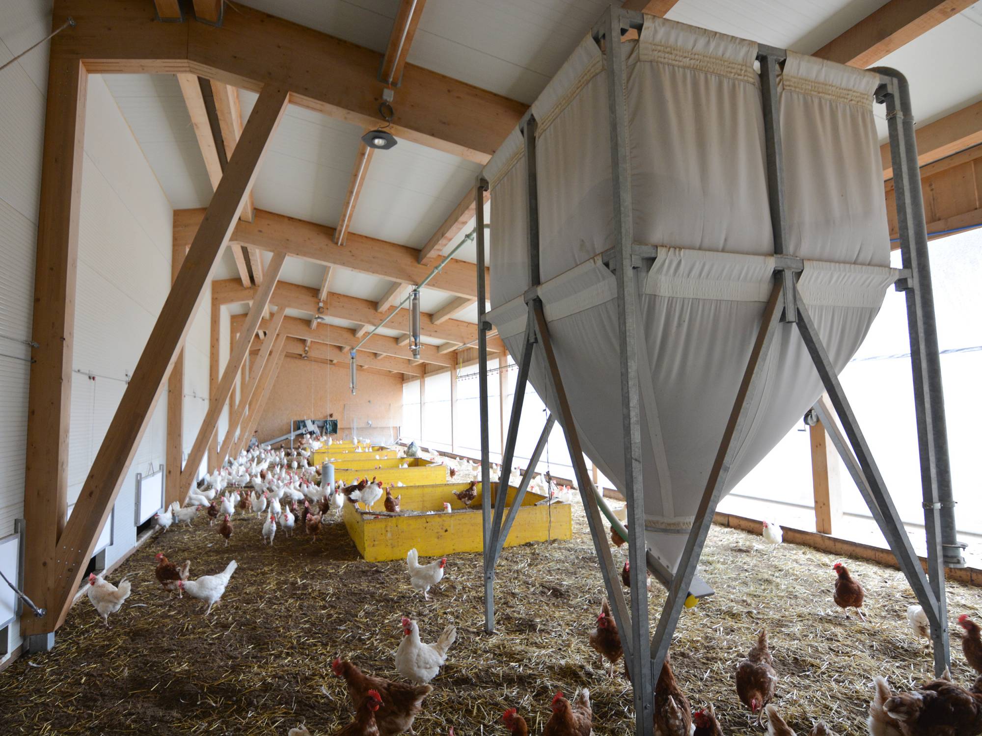 clerici-impianti-avicoli-mertenat-alimentazione