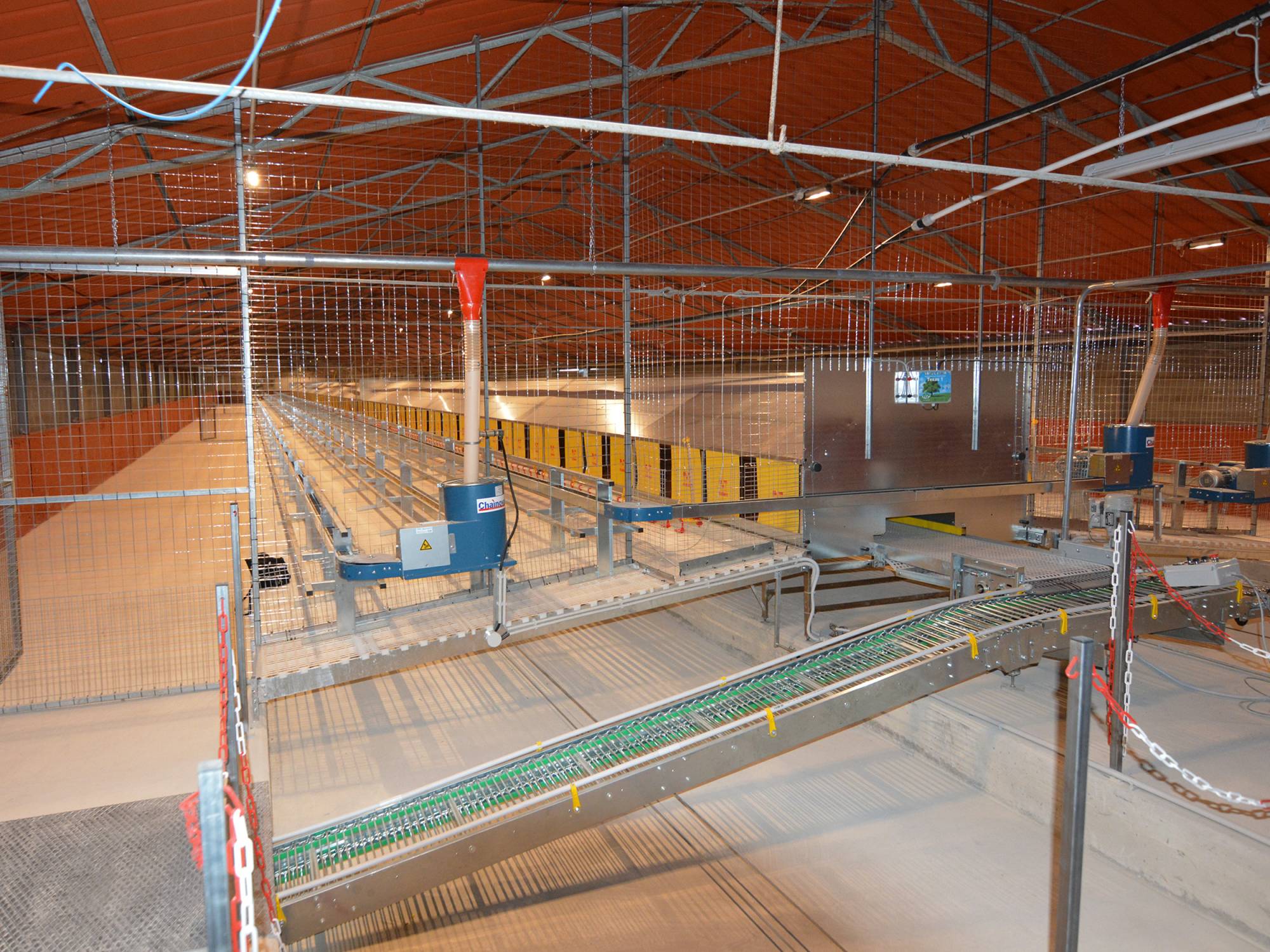 clerici-impianti-avicoli-torino-alimentazione