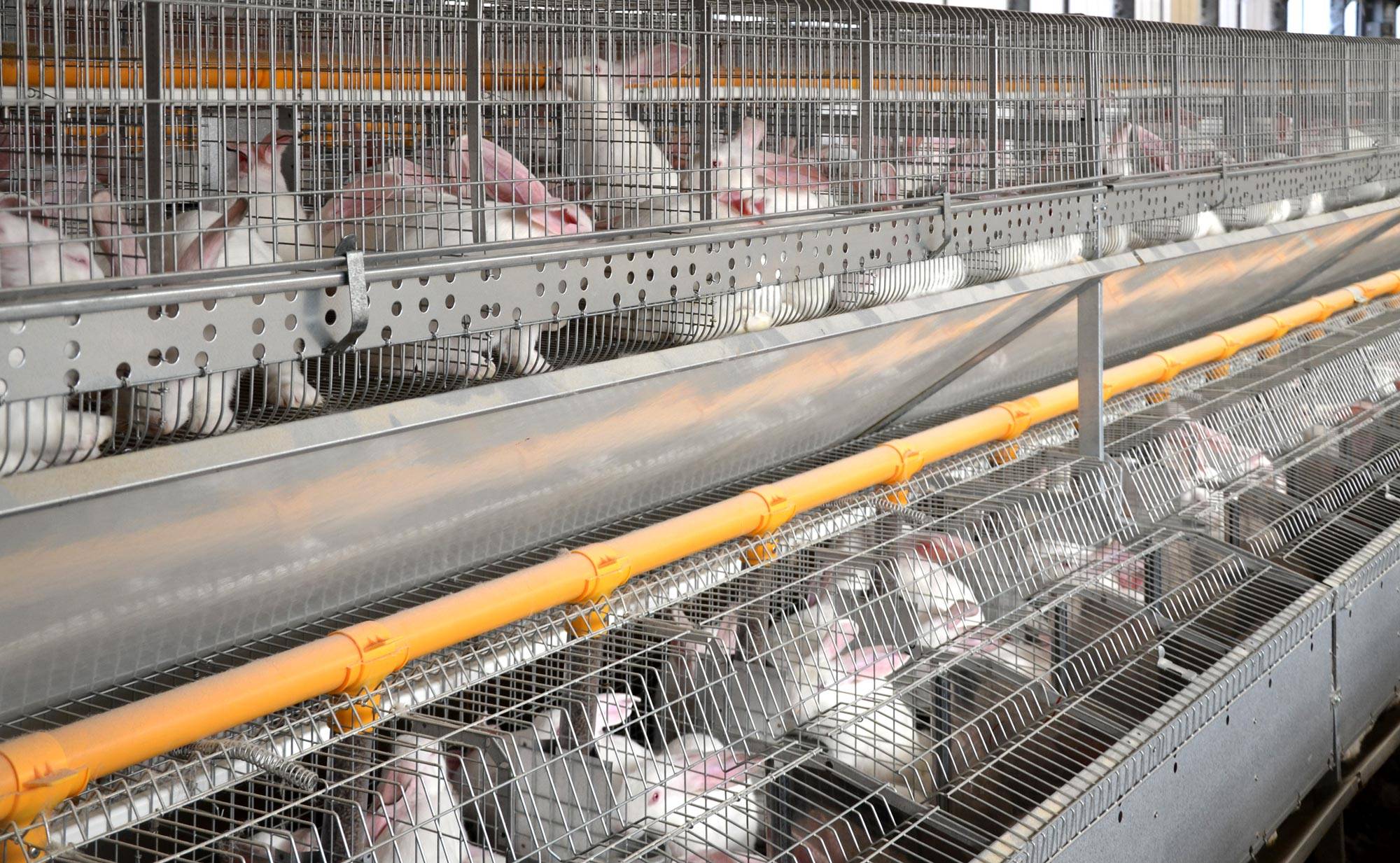 clerici-gino-impianti-cunicoli-natura-rimonta-2