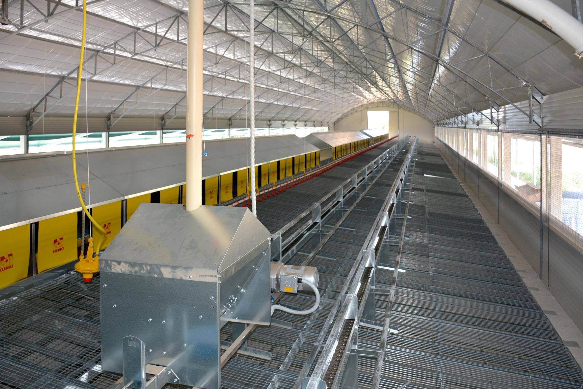 impianti-avicoli-al-suolo-nido-libera-clerici-gino-8