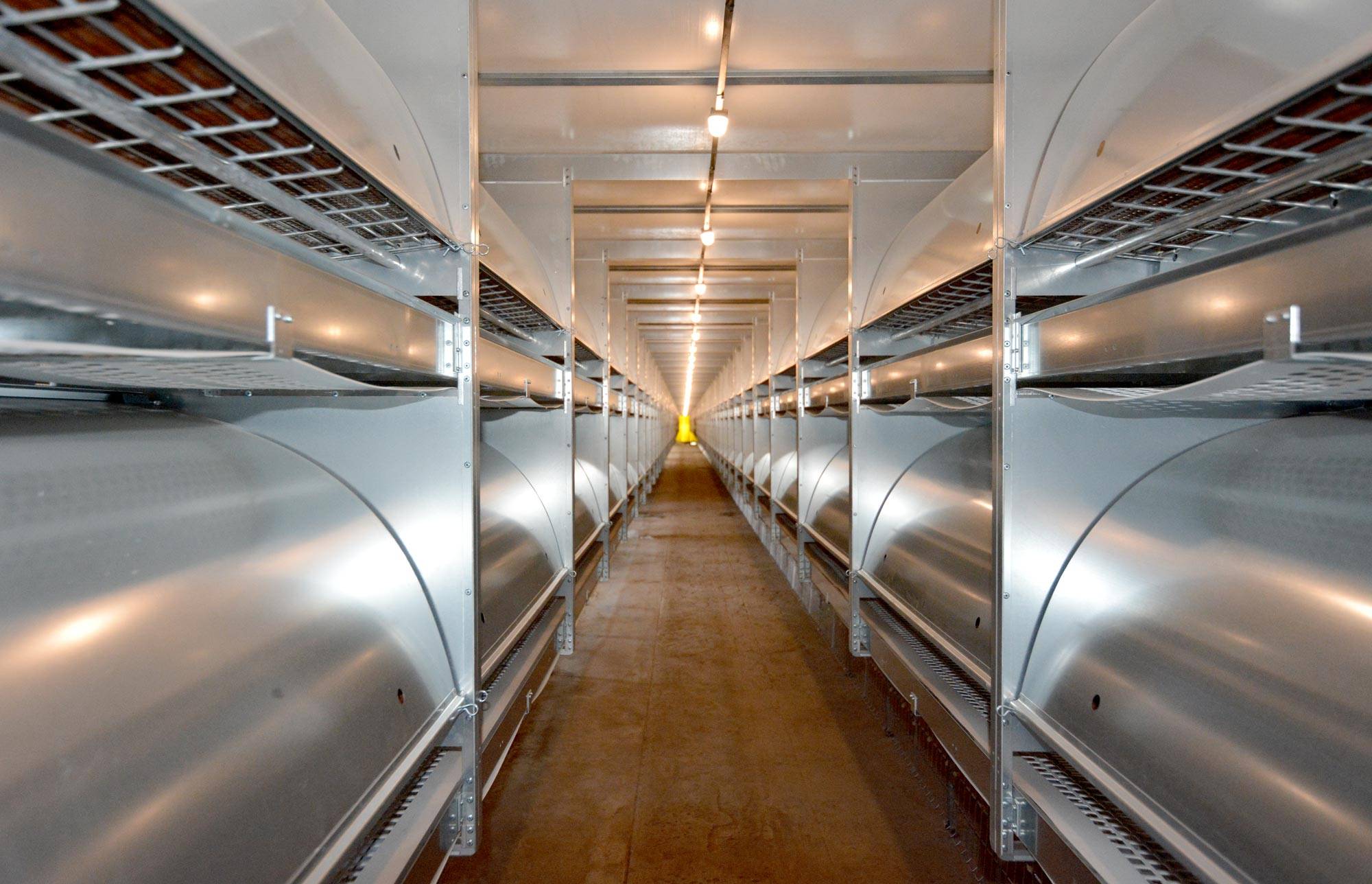 voliera-vl-open-2-allevamento-galline-ovaiole-clerici-2