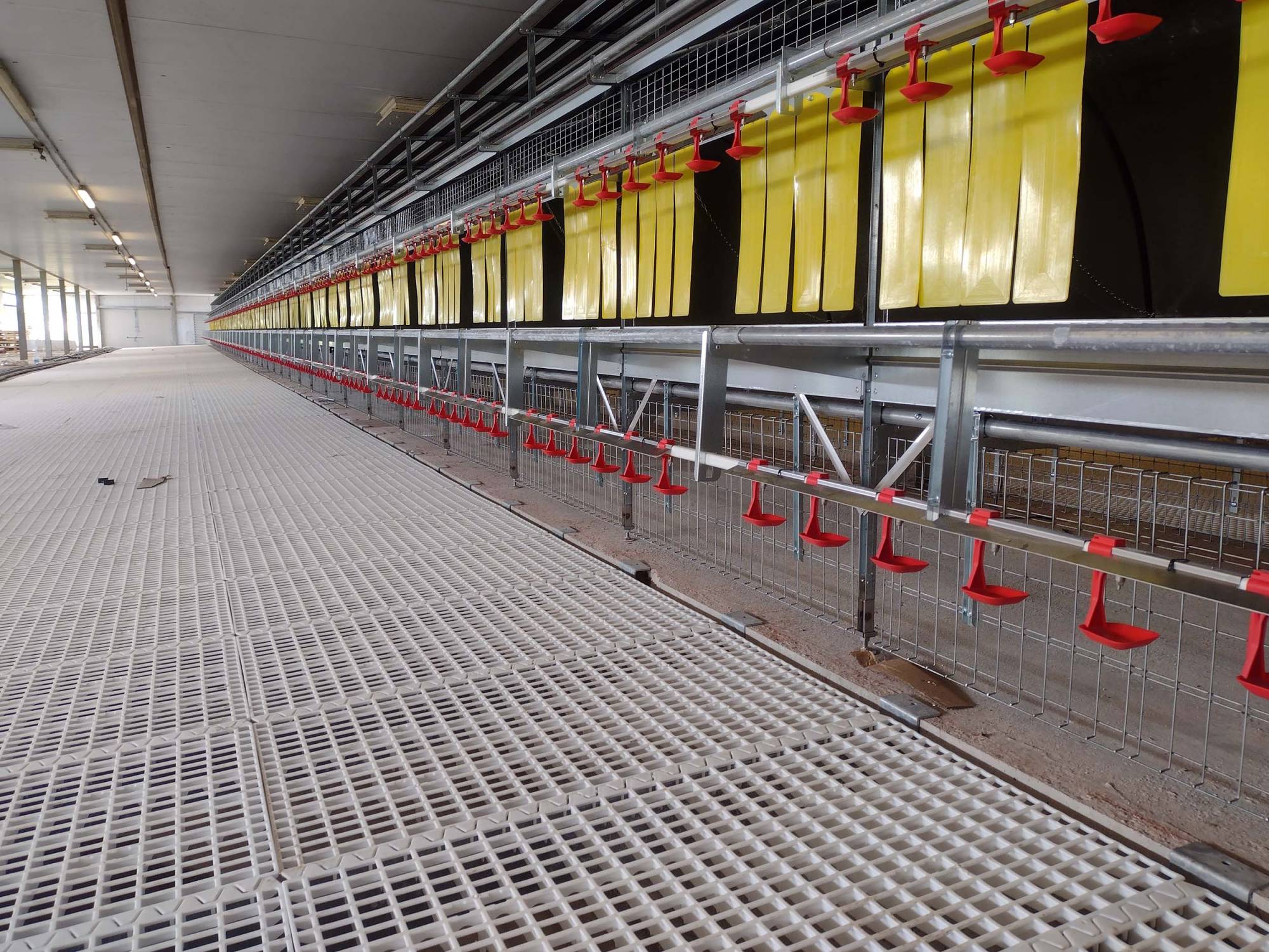 clarici-impianti-avicoli-tambara (11)