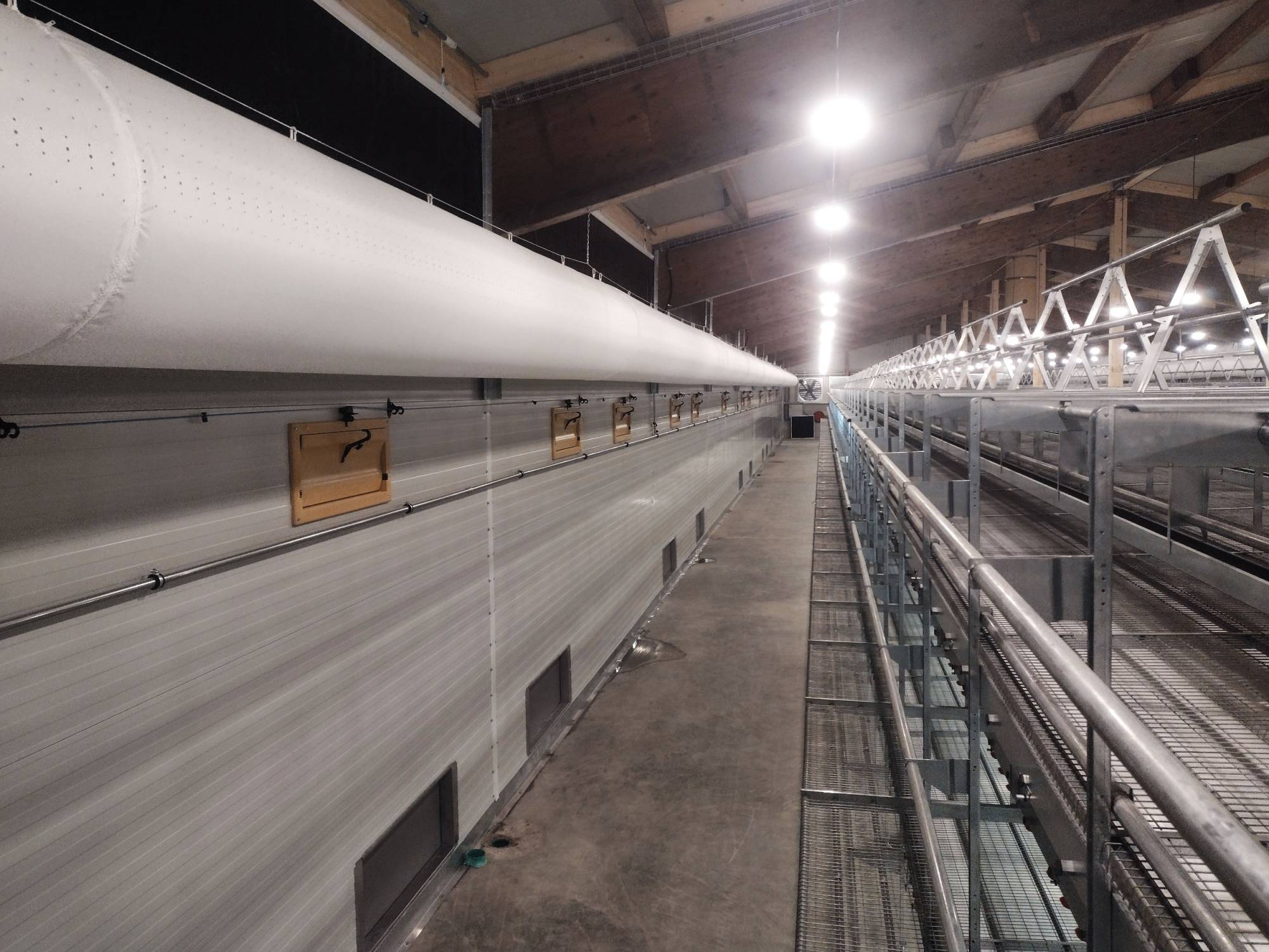 clerici-gino-impianti-avicoli-ventilazione-(2)