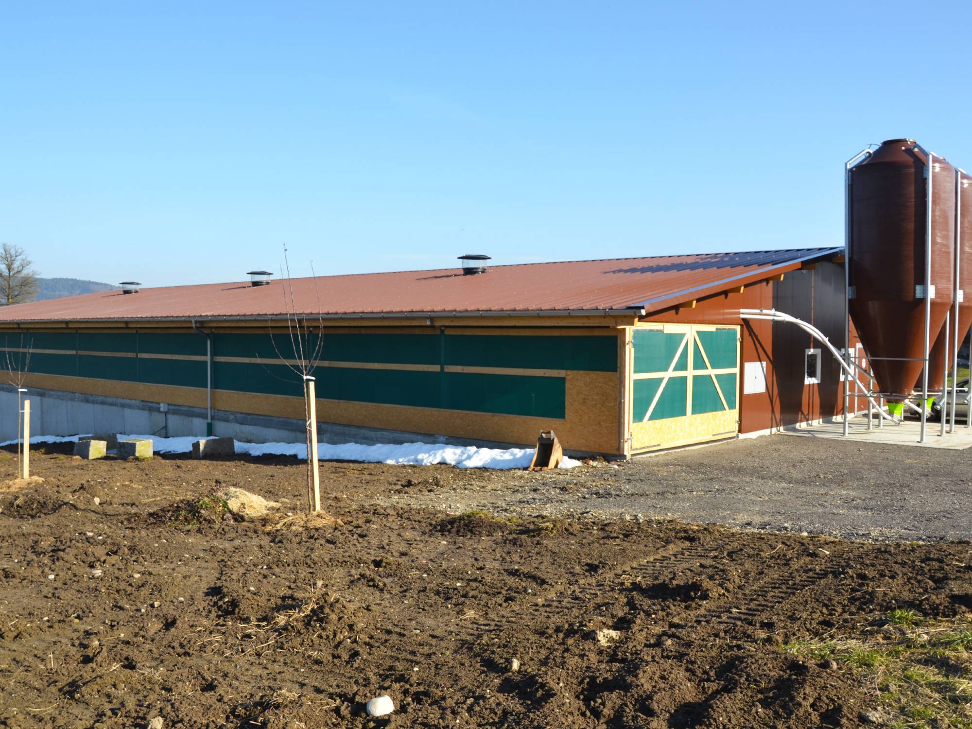 clerici-gino-voliera-svezzamento-pulcini-canton-lucerna-olimpia-aperta-(4)