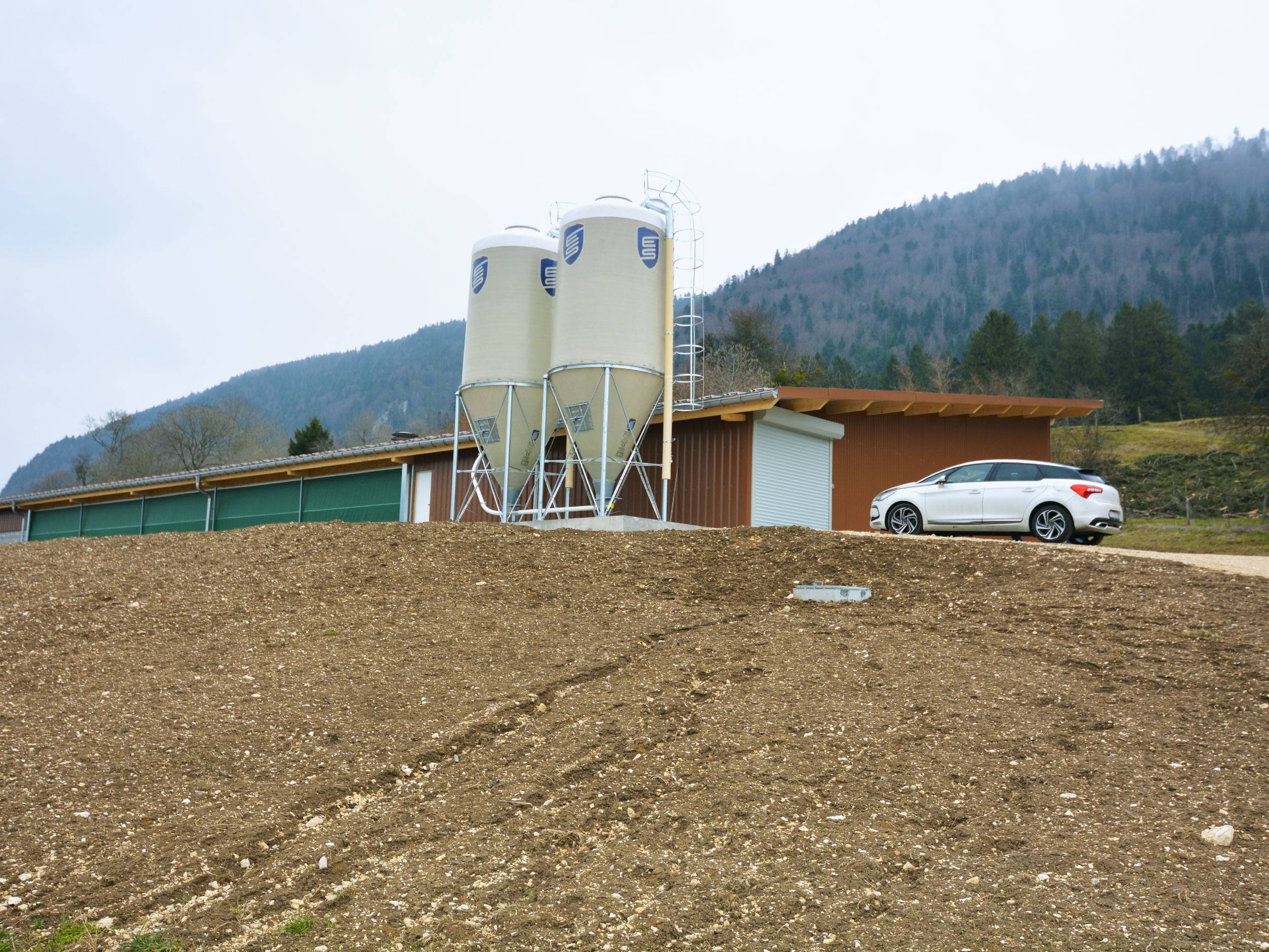 clerici-impianti-avicoli-galline-ovaiole-canton-berna-svizzera-alimentazione