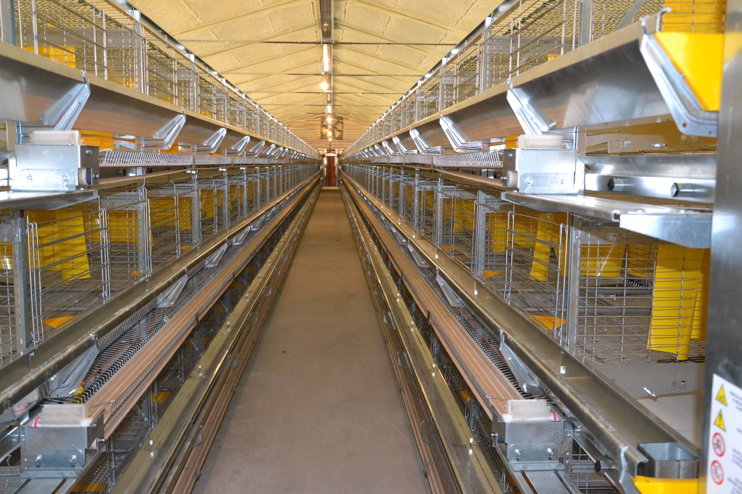 clerici-gino-impianti-avicoli-22