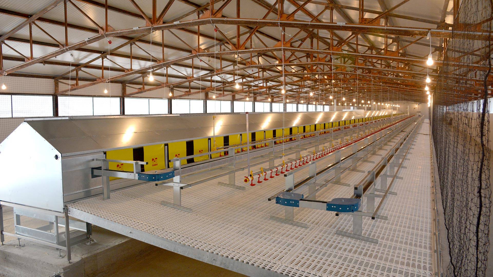 impianti-avicoli-al-suolo-nido-libaia-clerici-gino-12