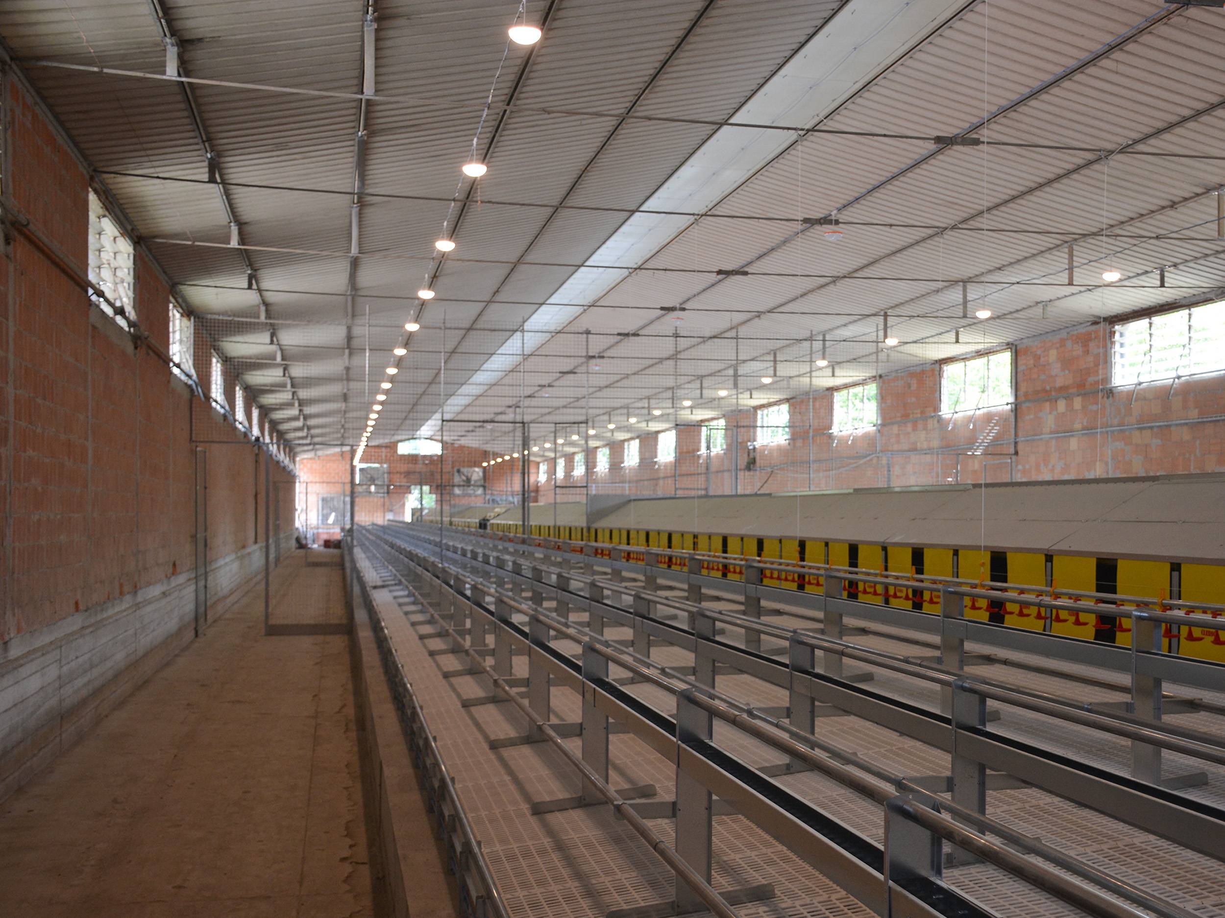 clerici-impianti-avicoli-galline-ovaiole-biella-libaia 1