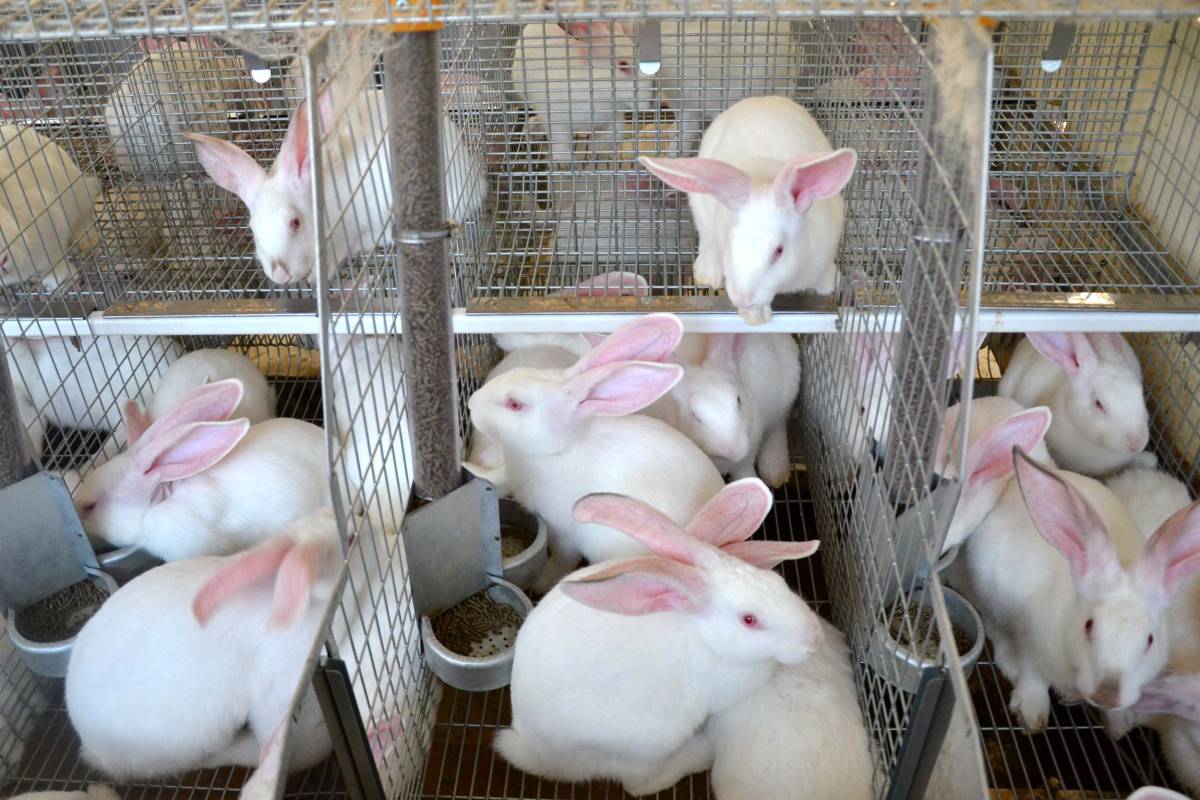 clerici-gino-impianti-cunicoli-4