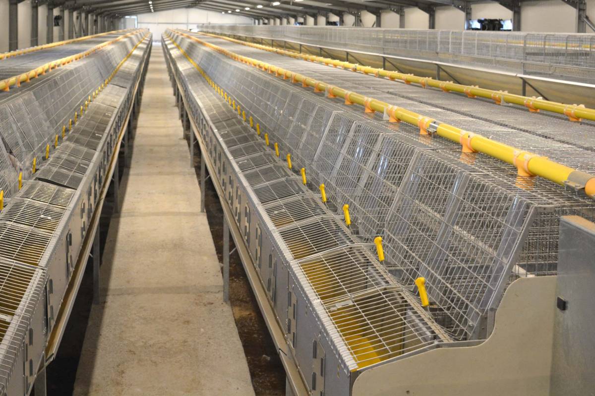 clerici-gino-impianti-cunicoli-5